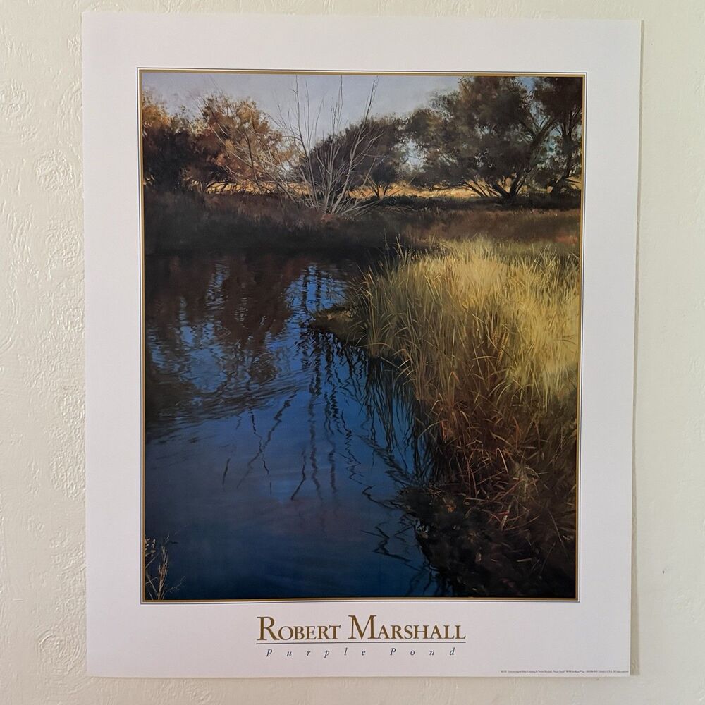 Robert Marshall Purple Pond 1990 Artbeats Poster Print Offset Lithograph 30x25”